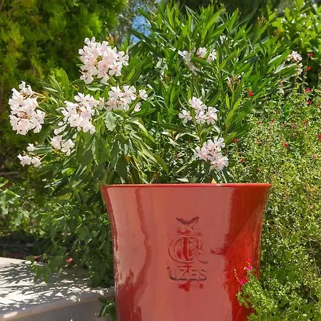 Bed & Breakfast Des Alexandrins 4*