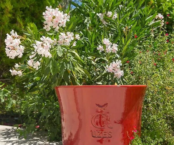 Bed and Breakfast Des Alexandrins 3*